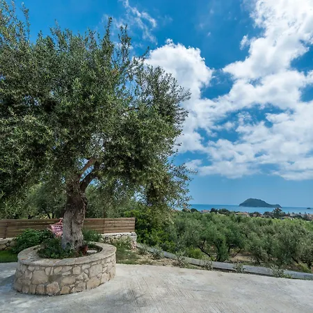 Evylio Stone 公寓 Lithakia (Zakynthos)